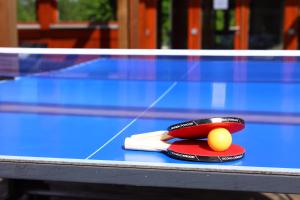 Stolní tenis v ubytování LE CLOS DES SOURCES Hôtel & Spa nebo okolí