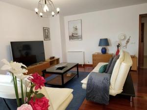 a living room with a couch and a tv at HHC - Duplex Concheiros, 4 bedrooms, 3 bathroom, a 700m de la Catedral in Santiago de Compostela