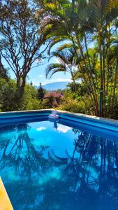 a swimming pool with blue water and palm trees at Fazenda Quinta da Esperança- Pousada e Lazer in Tiradentes