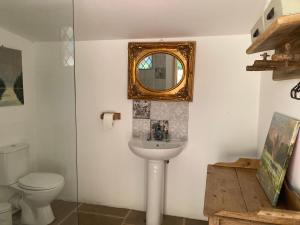 uma casa de banho com um lavatório, um WC e um espelho. em Outstandingly situated cosy Shepherds Hut em Longhope