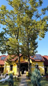 a yellow house with two trees in front of it at Harmónia Apartmanház in Balatonlelle