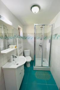 a bathroom with a shower and a sink and a toilet at Casa De Sub Deal in Densuş
