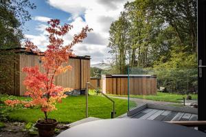 Lake District Woodland Pods - Winster, Bowness-on-Windermere外面的花园