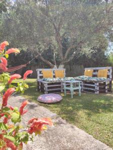 two benches sitting in the grass in a yard at Filoxenia Apartments in Rizá