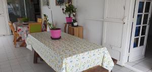 einen Tisch mit zwei Topfpflanzen darüber in der Unterkunft Chez Mimose et Henri in Saint-Benoît