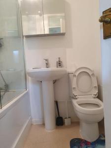 a white bathroom with a toilet and a sink at 1bedroom flat wt ext sofa chair in Horsham