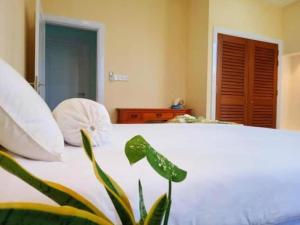 Postel nebo postele na pokoji v ubytování Nasara Resort Mentawai