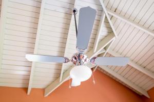 Foto de la galeria de Golden Palms Apartment a Kingstown