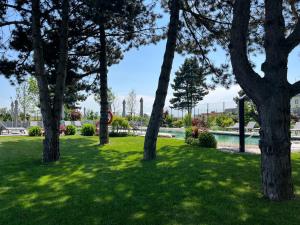 Zahrada ubytování Hotel Spitzerberg by b-smart
