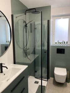 a bathroom with a shower and a toilet and a sink at Apartament Bari Playa in Playa de Gandia