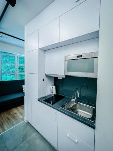 Kuchyňa alebo kuchynka v ubytovaní Apartamenty Do Studzienki 65