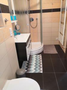 Ένα μπάνιο στο Apartmany Vera +40 φωτογραφίες