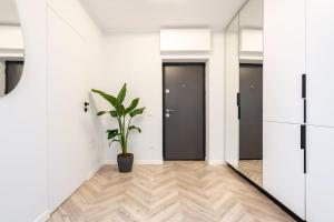 a potted plant sits in the middle of a hallway at Mellow - Calea Victoriei - 2BR Luxury Apartment in Bucharest