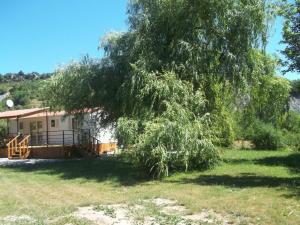 Zahrada ubytování Bungalow Blieux + 2 fotografie
