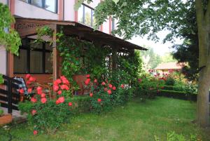 a gazebo with red flowers in a yard at Vila Delta Travel - Mila 23 in Mila Douăzeci şi Trei