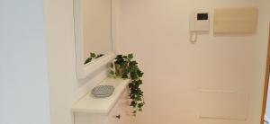 Fotografie z fotogalerie ubytování Apartament Julia v destinaci L'Eucaliptus
