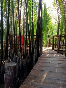 a wooden pathway through a forest with palm trees at Homestay Xóm Dừa Nước in Ben Tre