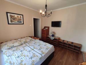 1 dormitorio con 1 cama, vestidor y TV en Apartments in Siofok/Balaton 19986 en Siófok