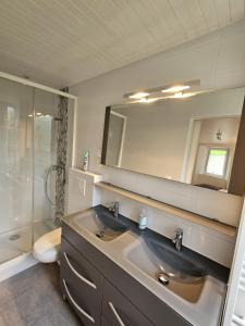 bagno con lavandino, doccia e specchio di Gîte de l'Eau Vive a Saint-Martin-dʼUriage