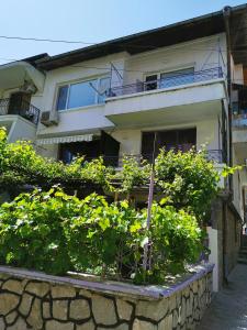 a house with a bunch of plants in front of it at Guesthouse "Slavkova" in Sozopol