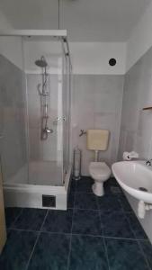 ein Bad mit einer Dusche, einem WC und einem Waschbecken in der Unterkunft Apartment 6 ZAGLAV 15 in Zaglav