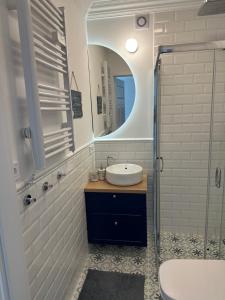 W łazience znajduje się umywalka i lustro. w obiekcie Apartament Nadmorski Zakątek Rowy w Rowach