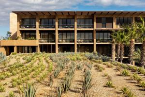 Zahrada ubytování Casa Maat at JW Marriott Los Cabos Beach Resort & Spa