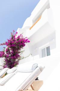 卡馬利的住宿－Cavo Bianco Boutique Hotel & Spa，白色的建筑,阳台上有紫色的花朵