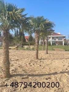 three palm trees in the sand in front of a house at Willa nad jeziorem w Warszawie in Warsaw