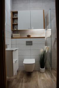 a bathroom with a white toilet and a sink at Stylowe apartamenty in Charzykowy