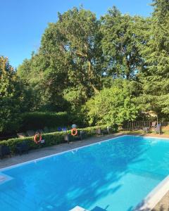 une grande piscine bleue avec des chaises et des arbres dans l'établissement Locanda Maison Verte, à Cantalupa