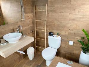ein Bad mit einem WC und einem Waschbecken in der Unterkunft Finca Marisa in Tinajo