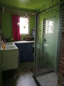 baño verde con ducha y lavamanos en maison 70m2 calme vue sur forêt, en Salles