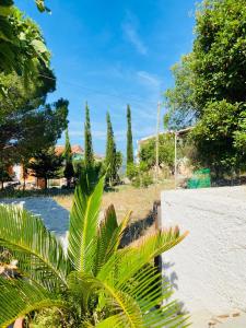 a palm tree in front of a house at Villa Privata a Cefalonia in Fársa