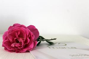 Fotografie z fotogalerie ubytování KIMASIS by Maria v destinaci Samos