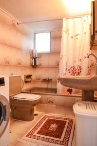 a bathroom with a toilet and a sink and a shower at Lemar Home in Áno Kremmídhia