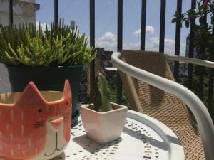 a table with a cat figurine and a cactus on a balcony at Sweet and Little Home in Buenos Aires