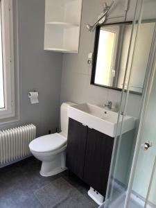 a bathroom with a toilet and a sink and a mirror at Maison cosy rénovée avec jardin in Rouen +13 photos