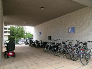 Radfahren an der Unterkunft Gemelos 22-3-12 oder in der Nähe