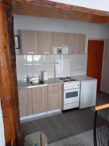 Η κουζίνα ή μικρή κουζίνα στο Kuca za odmor Zlaja