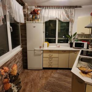 cocina con nevera y algunas ventanas en Koper Apartma, en Koper