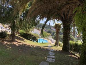 un sentiero attraverso un gruppo di palme in un parco di Illa de tambo house a San Salvador de Poio