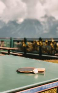 een ping paddle zittend op een tafel bij Posers Bergwelt in Schladming