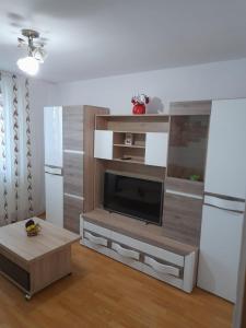 a living room with a flat screen tv at La Sandu Ocna in Ocna Sibiului