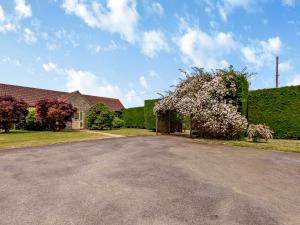 a driveway in front of a house with a flowering tree at Nightingale in Temple Combe