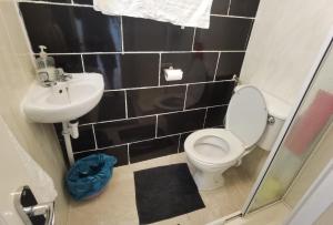 La petite salle de bains est pourvue de toilettes et d'un lavabo. dans l'établissement TravelMore, à Letterkenny