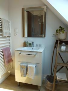 a bathroom with a sink and a mirror at Le Clos des Mouettes in Calais