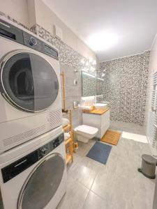 ein Bad mit Waschmaschine und Trockner an der Wand in der Unterkunft Wooden Touch Studio in Braşov