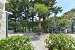 a group of bikes parked next to a tree at Alekos Luxury Suites Free 24h Transportation From - To Airport in Artemida