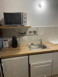 a kitchen with a sink and a microwave on a counter at Au cœur de la nature in Saint-Louis